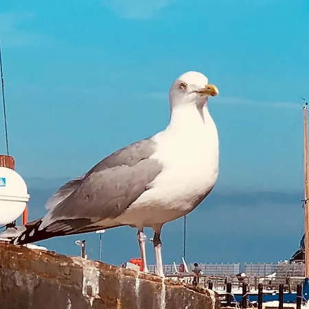 Lejlighed Ankerplatz Im Gruenen, Strandnah , Fernab Vom Mainstream , Ideal Fuer Familien *