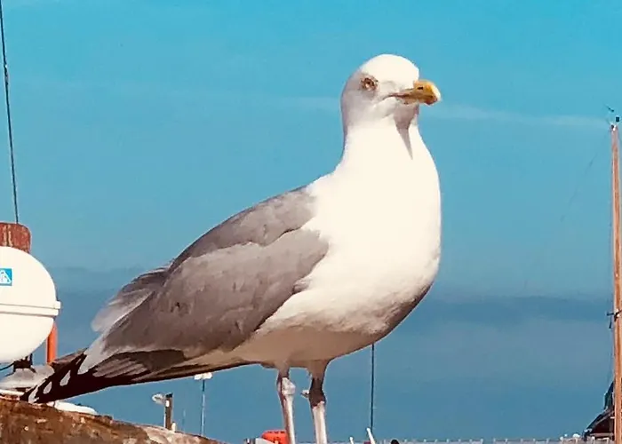 公寓 Ankerplatz Im Gruenen, Strandnah , Fernab Vom Mainstream , Ideal Fuer Familien *
